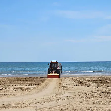 Turritella Del Mar *