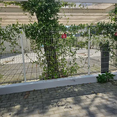 Turritella Del Mar Lido di Jesolo