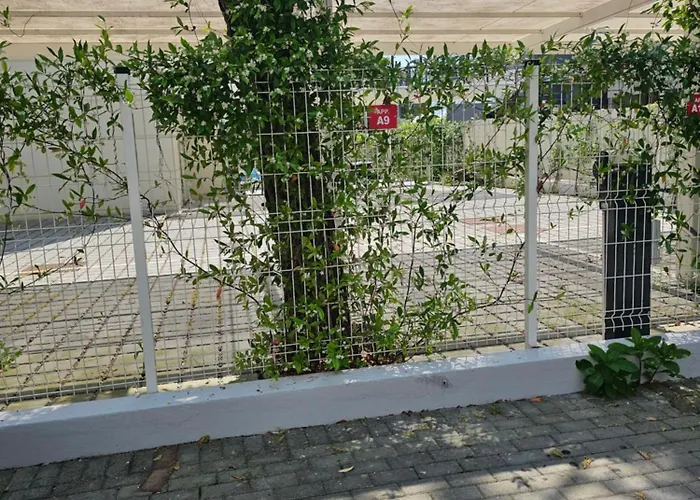 Turritella Del Mar Lido di Jesolo