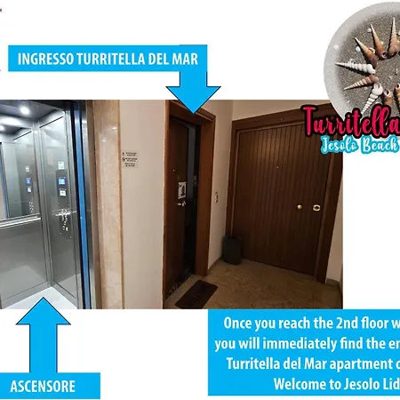 Turritella Del Mar ليدو دي يسولو